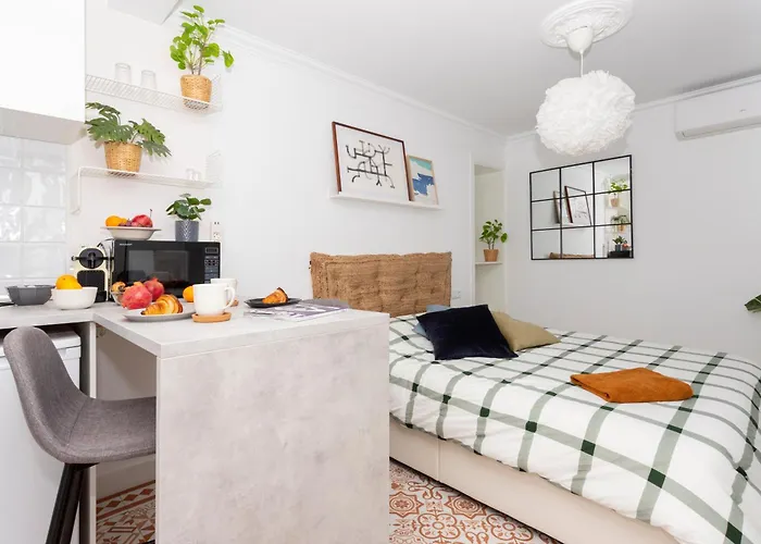 Modern Stylish & ברצלונה
