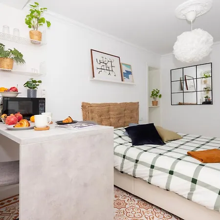 Modern Stylish & Barcelone