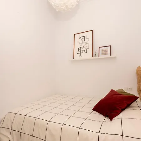 Modern Stylish & Barcelona