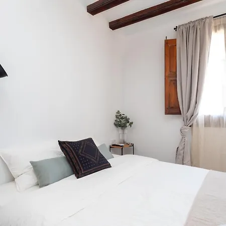 Apartment Modern Stylish &